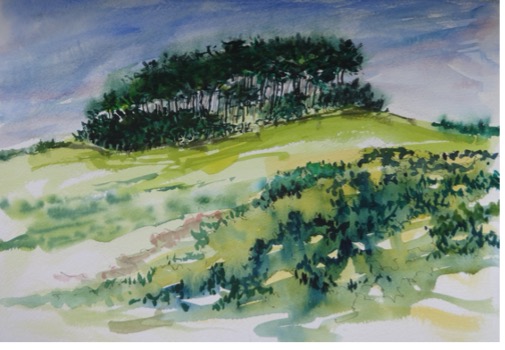 Bromlow Callow
Watercolour and pen
25 x 35 cm
